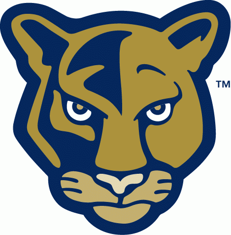 FIU Panthers 2001-2008 Alternate Logo v2 iron on transfers for clothing